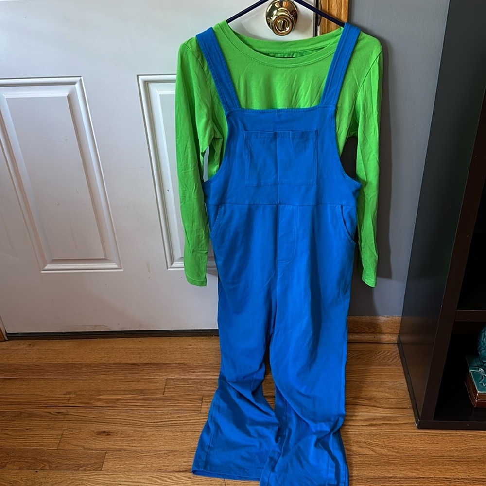 Women's Luigi style costume
